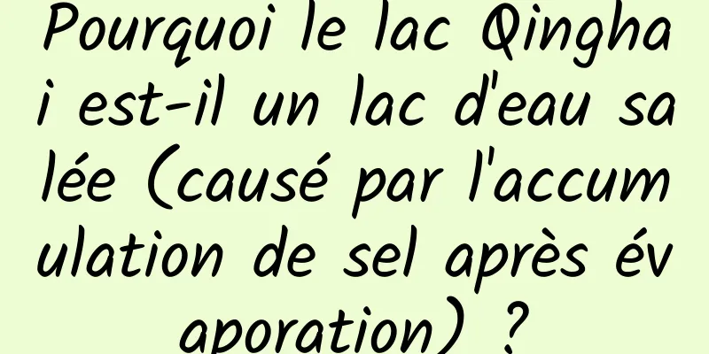 Pourquoi le lac Qinghai est-il un lac d'eau salée (causé par l'accumulation de sel après évaporation) ?