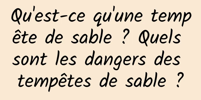 Qu'est-ce qu'une tempête de sable ? Quels sont les dangers des tempêtes de sable ?