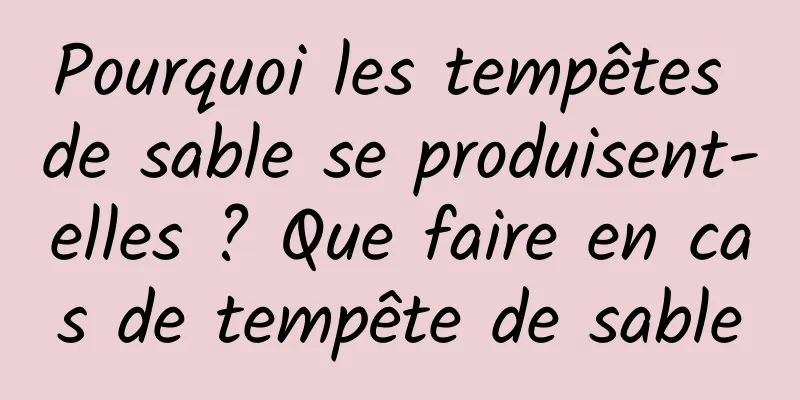 Pourquoi les tempêtes de sable se produisent-elles ? Que faire en cas de tempête de sable