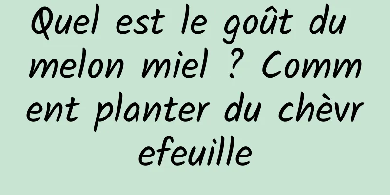 Quel est le goût du melon miel ? Comment planter du chèvrefeuille
