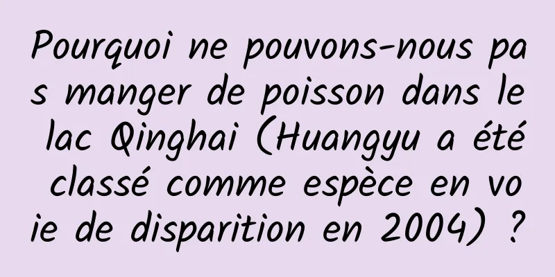 Pourquoi ne pouvons-nous pas manger de poisson dans le lac Qinghai (Huangyu a été classé comme espèce en voie de disparition en 2004) ?