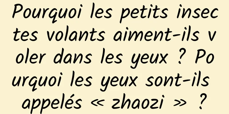 Pourquoi les petits insectes volants aiment-ils voler dans les yeux ? Pourquoi les yeux sont-ils appelés « zhaozi » ?