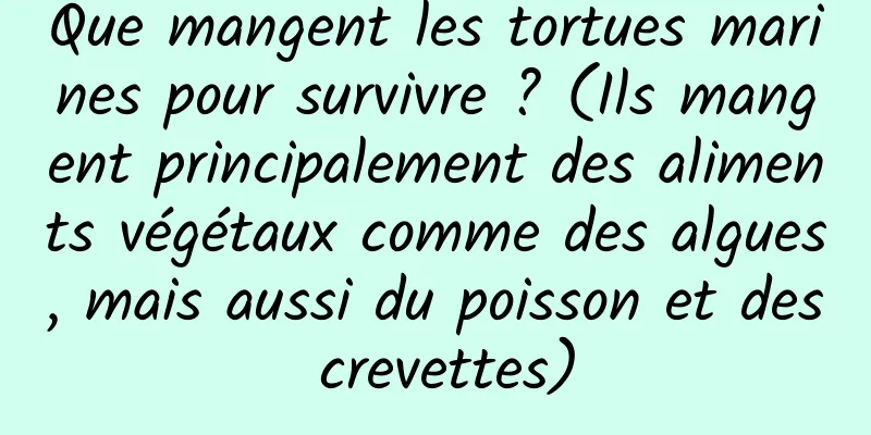 Que mangent les tortues marines pour survivre ? (Ils mangent principalement des aliments végétaux comme des algues, mais aussi du poisson et des crevettes)