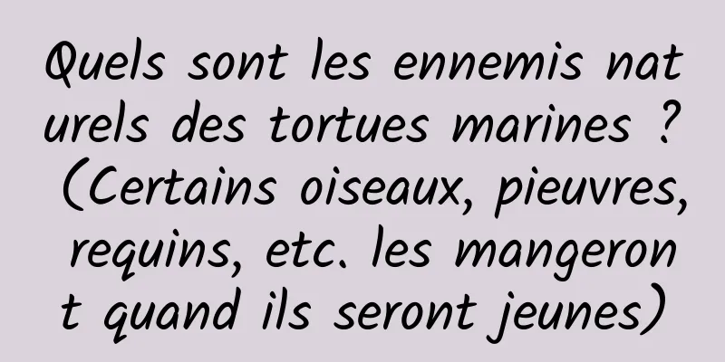 Quels sont les ennemis naturels des tortues marines ? (Certains oiseaux, pieuvres, requins, etc. les mangeront quand ils seront jeunes)