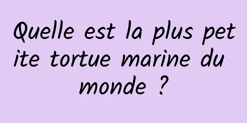 Quelle est la plus petite tortue marine du monde ?