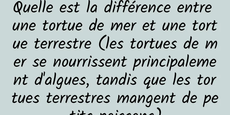 Quelle est la différence entre une tortue de mer et une tortue terrestre (les tortues de mer se nourrissent principalement d'algues, tandis que les tortues terrestres mangent de petits poissons)
