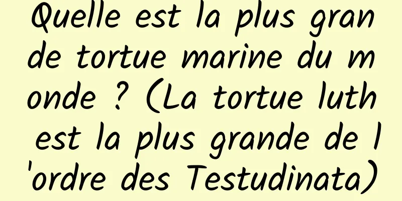 Quelle est la plus grande tortue marine du monde ? (La tortue luth est la plus grande de l'ordre des Testudinata)