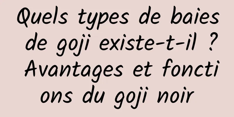 Quels types de baies de goji existe-t-il ? Avantages et fonctions du goji noir