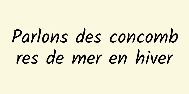 Parlons des concombres de mer en hiver