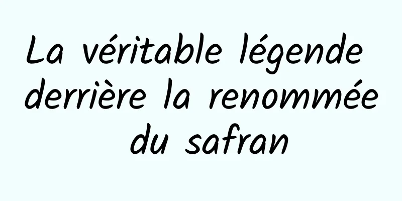 La véritable légende derrière la renommée du safran