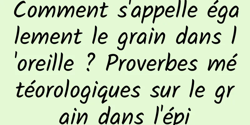 Comment s'appelle également le grain dans l'oreille ? Proverbes météorologiques sur le grain dans l'épi
