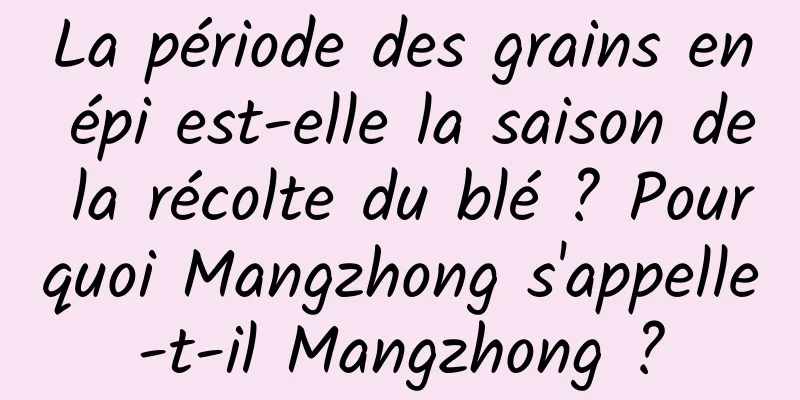 La période des grains en épi est-elle la saison de la récolte du blé ? Pourquoi Mangzhong s'appelle-t-il Mangzhong ?