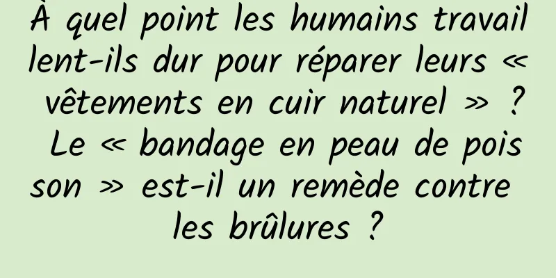 À quel point les humains travaillent-ils dur pour réparer leurs « vêtements en cuir naturel » ? Le « bandage en peau de poisson » est-il un remède contre les brûlures ?