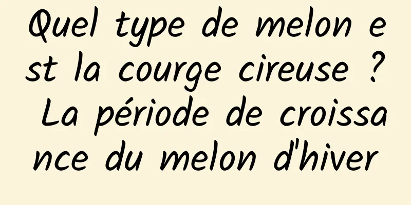 Quel type de melon est la courge cireuse ? La période de croissance du melon d'hiver