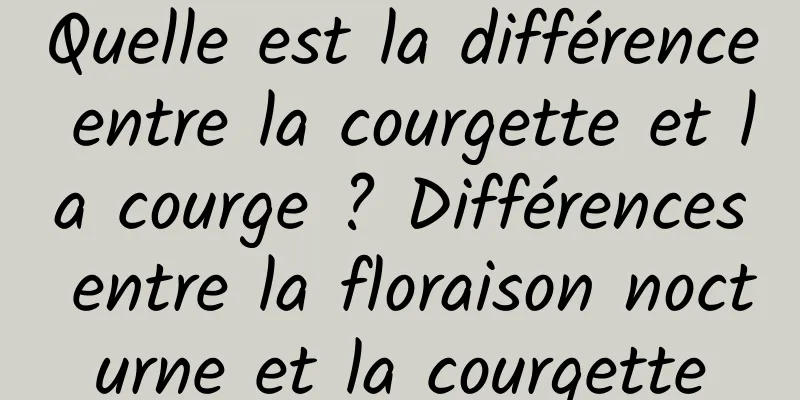 Quelle est la différence entre la courgette et la courge ? Différences entre la floraison nocturne et la courgette