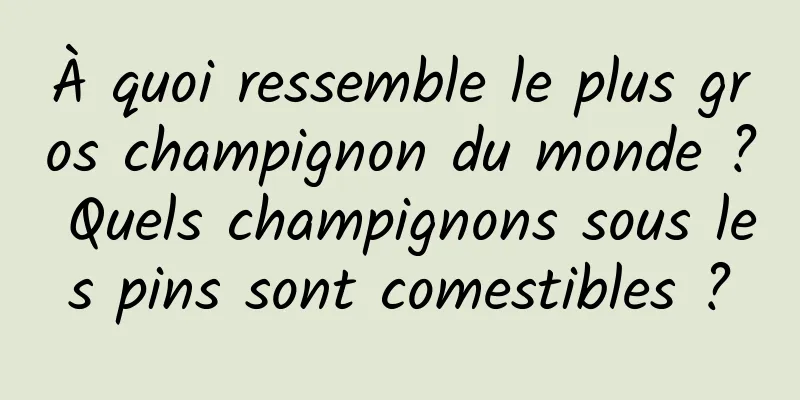 À quoi ressemble le plus gros champignon du monde ? Quels champignons sous les pins sont comestibles ?
