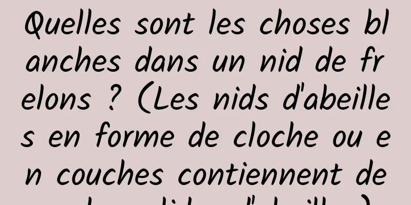 Quelles sont les choses blanches dans un nid de frelons ? (Les nids d'abeilles en forme de cloche ou en couches contiennent des chrysalides d'abeilles)