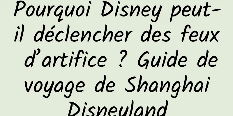 Pourquoi Disney peut-il déclencher des feux d’artifice ? Guide de voyage de Shanghai Disneyland