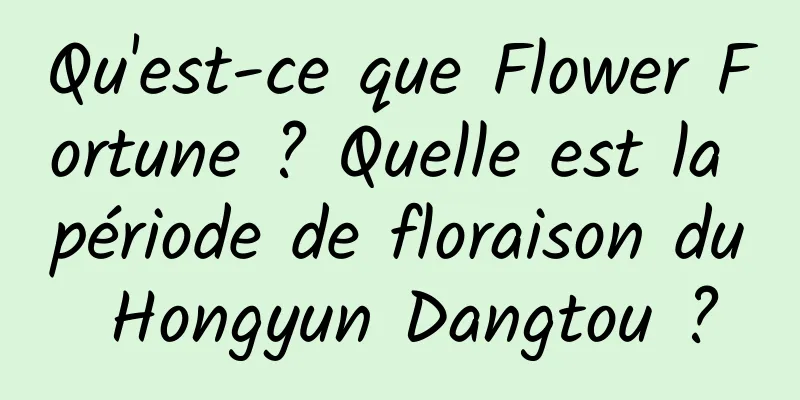 Qu'est-ce que Flower Fortune ? Quelle est la période de floraison du Hongyun Dangtou ?