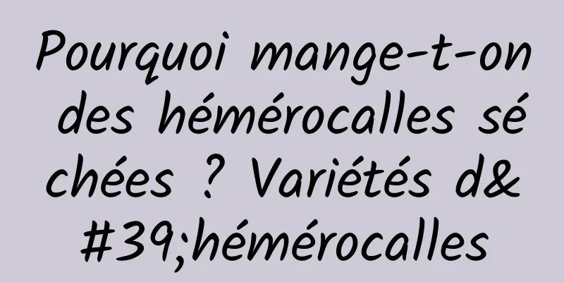 Pourquoi mange-t-on des hémérocalles séchées ? Variétés d'hémérocalles