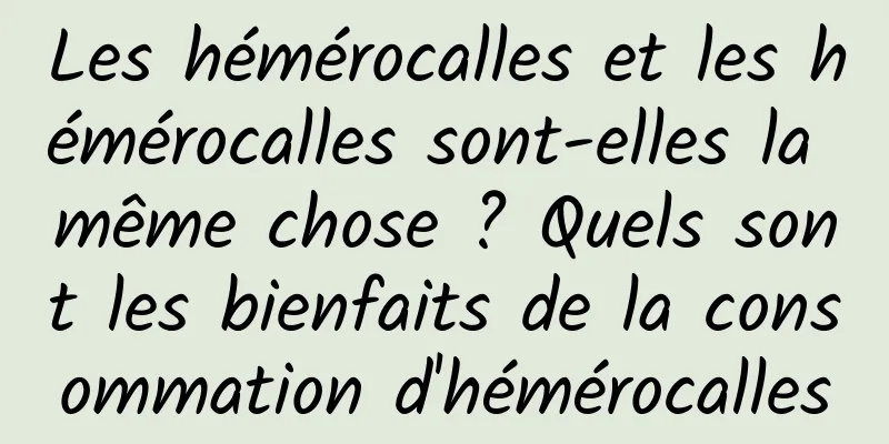 Les hémérocalles et les hémérocalles sont-elles la même chose ? Quels sont les bienfaits de la consommation d'hémérocalles