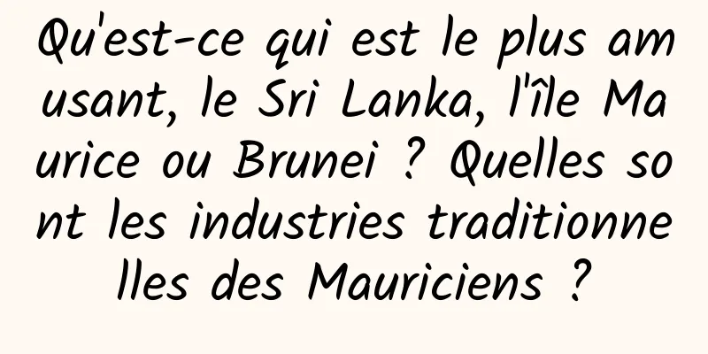 Qu'est-ce qui est le plus amusant, le Sri Lanka, l'île Maurice ou Brunei ? Quelles sont les industries traditionnelles des Mauriciens ?