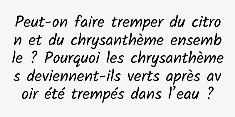 Peut-on faire tremper du citron et du chrysanthème ensemble ? Pourquoi les chrysanthèmes deviennent-ils verts après avoir été trempés dans l’eau ?