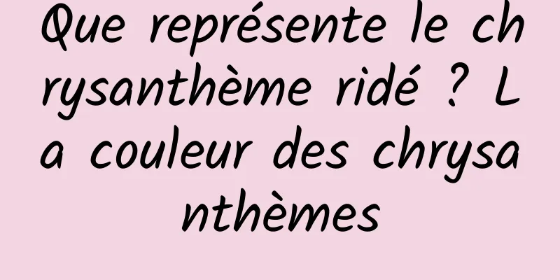 Que représente le chrysanthème ridé ? La couleur des chrysanthèmes