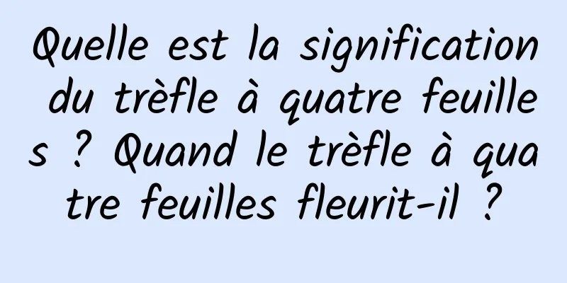 Quelle est la signification du trèfle à quatre feuilles ? Quand le trèfle à quatre feuilles fleurit-il ?