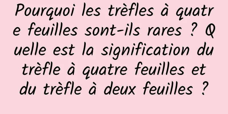 Pourquoi les trèfles à quatre feuilles sont-ils rares ? Quelle est la signification du trèfle à quatre feuilles et du trèfle à deux feuilles ?