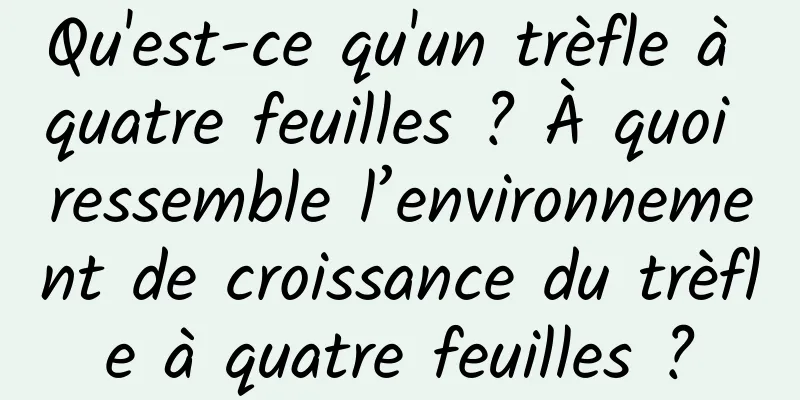 Qu'est-ce qu'un trèfle à quatre feuilles ? À quoi ressemble l’environnement de croissance du trèfle à quatre feuilles ?