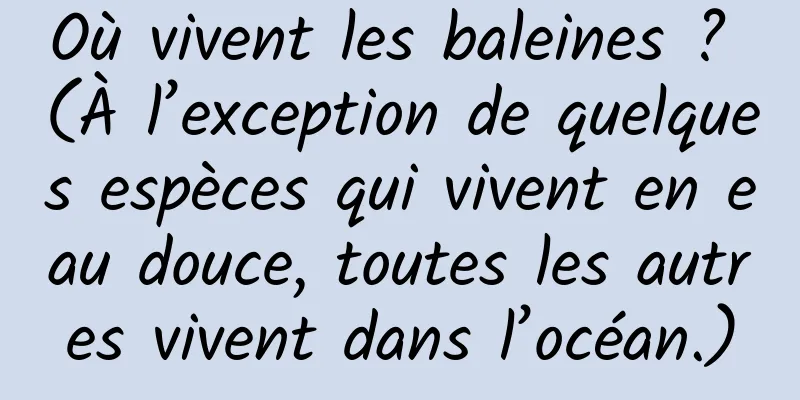 Où vivent les baleines ? (À l’exception de quelques espèces qui vivent en eau douce, toutes les autres vivent dans l’océan.)