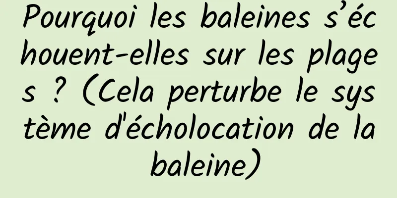 Pourquoi les baleines s’échouent-elles sur les plages ? (Cela perturbe le système d'écholocation de la baleine)
