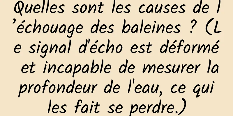 Quelles sont les causes de l’échouage des baleines ? (Le signal d'écho est déformé et incapable de mesurer la profondeur de l'eau, ce qui les fait se perdre.)