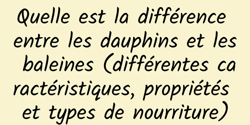 Quelle est la différence entre les dauphins et les baleines (différentes caractéristiques, propriétés et types de nourriture)