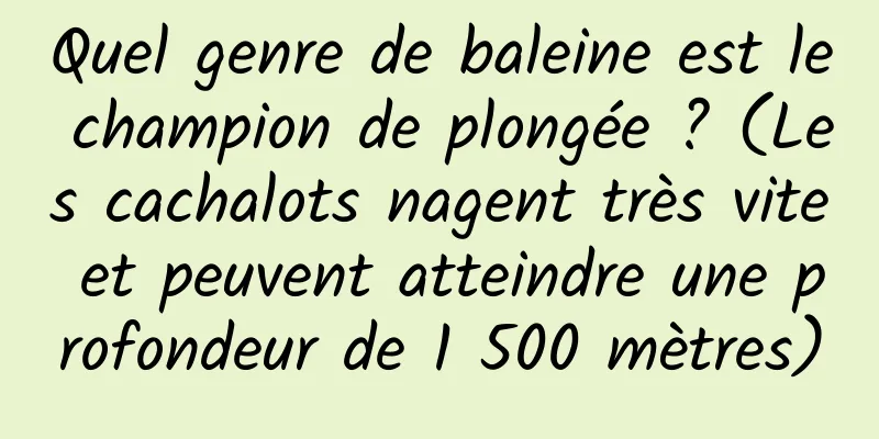 Quel genre de baleine est le champion de plongée ? (Les cachalots nagent très vite et peuvent atteindre une profondeur de 1 500 mètres)