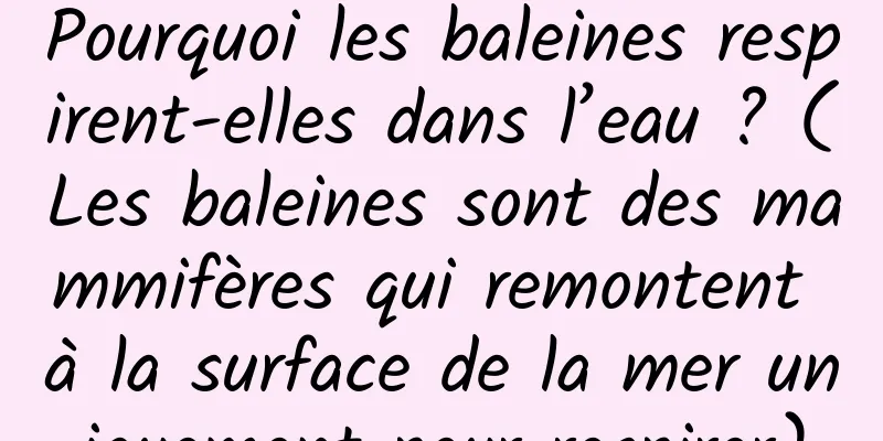 Pourquoi les baleines respirent-elles dans l’eau ? (Les baleines sont des mammifères qui remontent à la surface de la mer uniquement pour respirer)