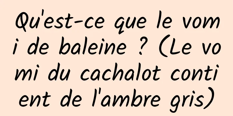 Qu'est-ce que le vomi de baleine ? (Le vomi du cachalot contient de l'ambre gris)