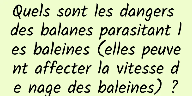 Quels sont les dangers des balanes parasitant les baleines (elles peuvent affecter la vitesse de nage des baleines) ?
