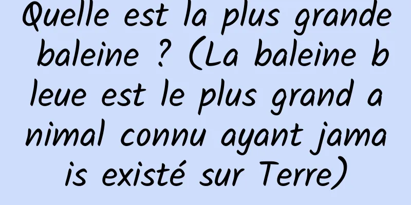 Quelle est la plus grande baleine ? (La baleine bleue est le plus grand animal connu ayant jamais existé sur Terre)