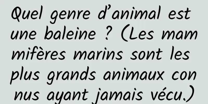 Quel genre d’animal est une baleine ? (Les mammifères marins sont les plus grands animaux connus ayant jamais vécu.)