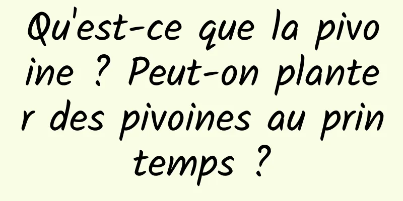 Qu'est-ce que la pivoine ? Peut-on planter des pivoines au printemps ?