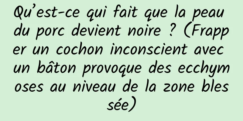 Qu’est-ce qui fait que la peau du porc devient noire ? (Frapper un cochon inconscient avec un bâton provoque des ecchymoses au niveau de la zone blessée)