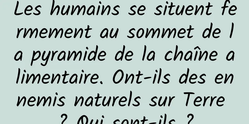 Les humains se situent fermement au sommet de la pyramide de la chaîne alimentaire. Ont-ils des ennemis naturels sur Terre ? Qui sont-ils ?