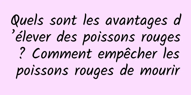 Quels sont les avantages d’élever des poissons rouges ? Comment empêcher les poissons rouges de mourir
