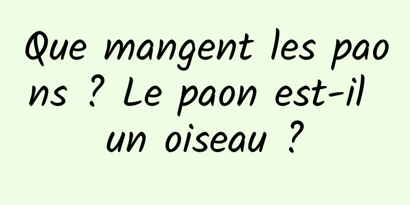 Que mangent les paons ? Le paon est-il un oiseau ?