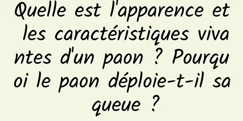 Quelle est l'apparence et les caractéristiques vivantes d'un paon ? Pourquoi le paon déploie-t-il sa queue ?