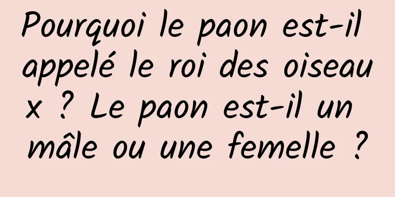 Pourquoi le paon est-il appelé le roi des oiseaux ? Le paon est-il un mâle ou une femelle ?