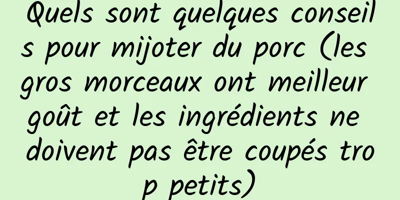 Quels sont quelques conseils pour mijoter du porc (les gros morceaux ont meilleur goût et les ingrédients ne doivent pas être coupés trop petits)