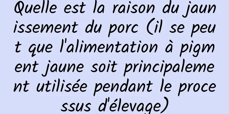 Quelle est la raison du jaunissement du porc (il se peut que l'alimentation à pigment jaune soit principalement utilisée pendant le processus d'élevage)
